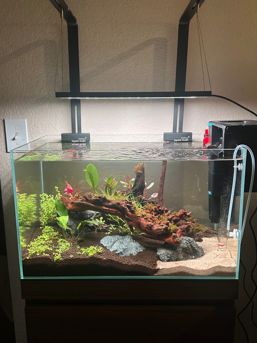 Customer photo review of Chihiros WRGB II Slim LED Light