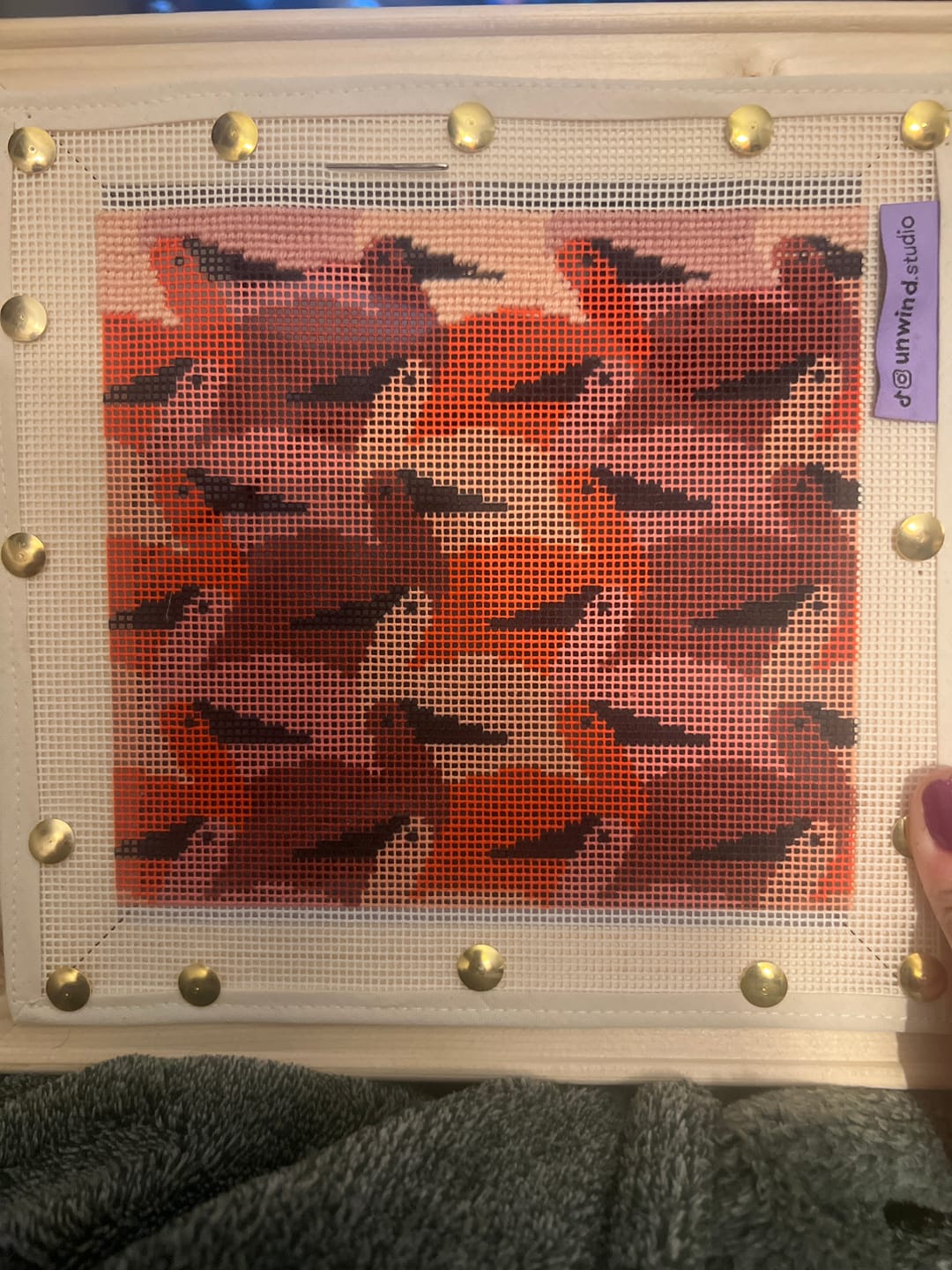Customer photo review of Birdies Sunglasses Case Needlepoint Kit