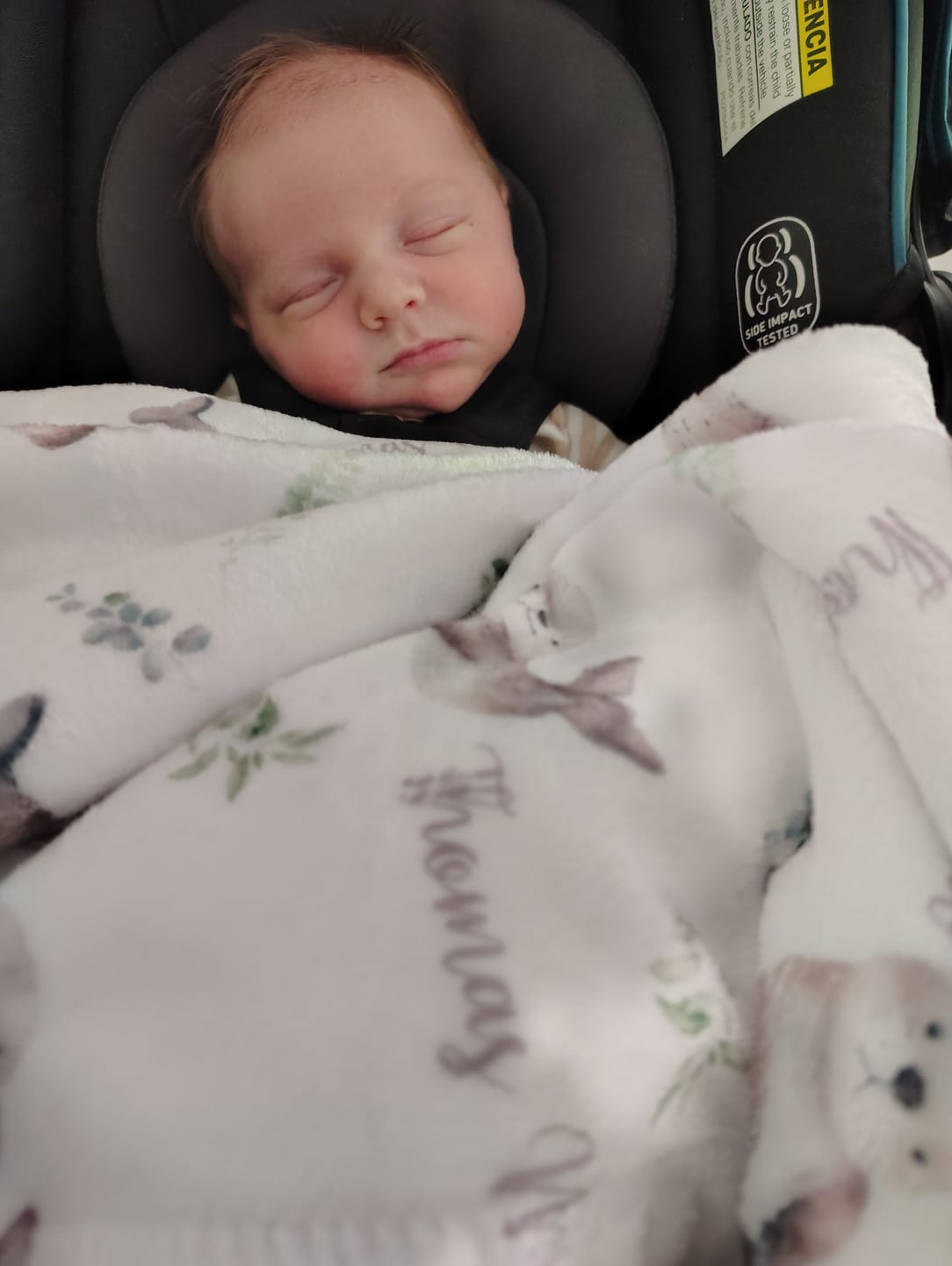 Customer photo review of Playful Otters personalized baby blanket
