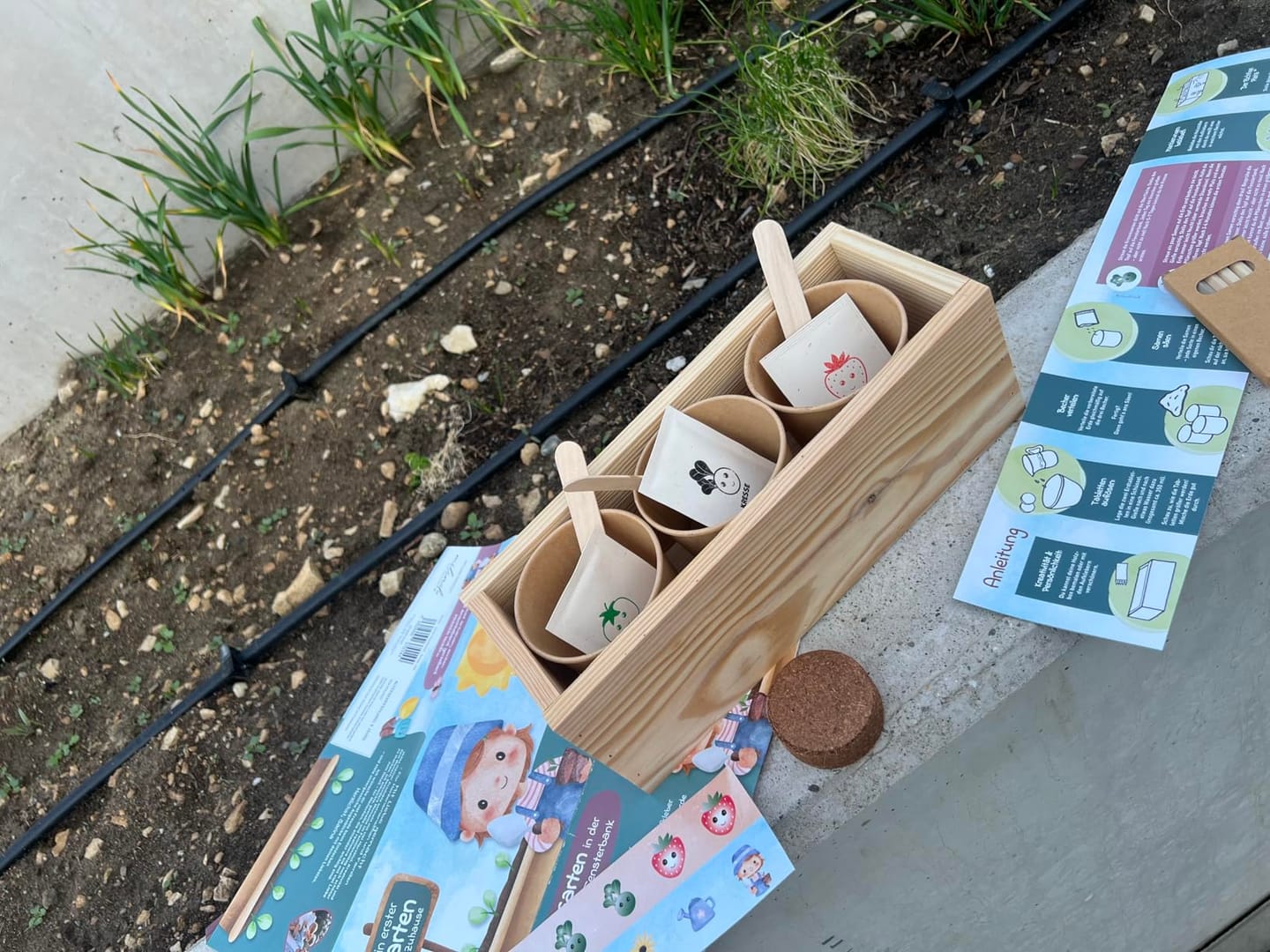 Customer photo review of Kinder Anzuchtset