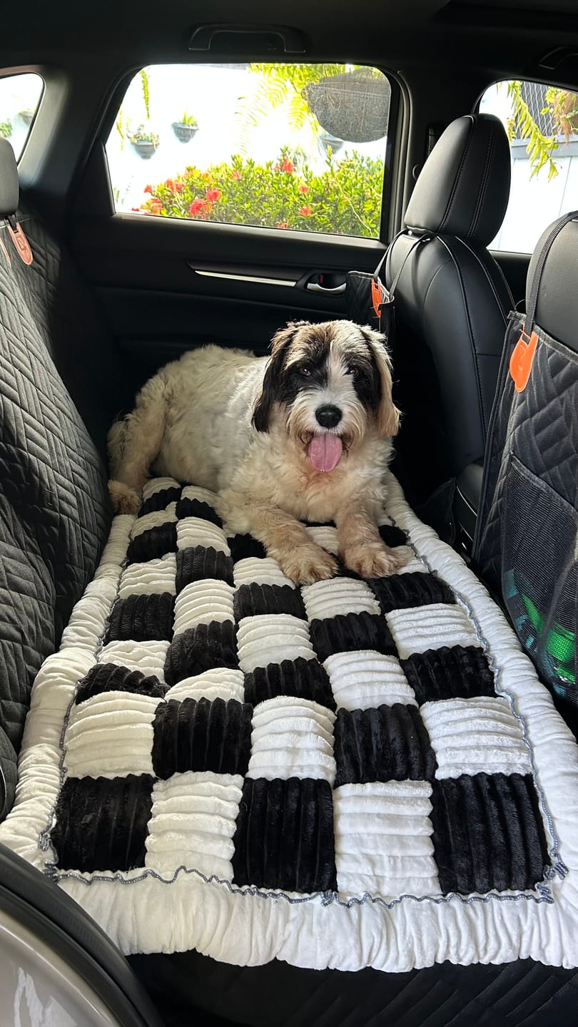 Customer photo review of Custom-Fit Travel Bed