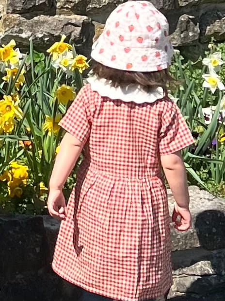 Customer photo review of Little Red Check Button Through Short Sleeve Dress
