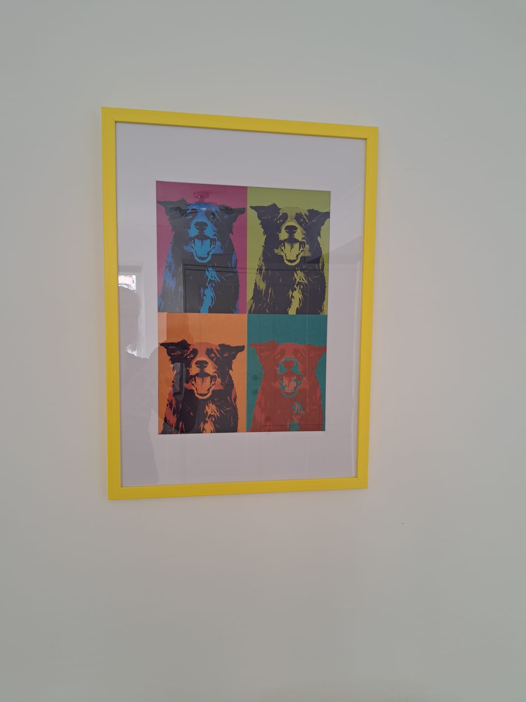 Customer photo review of Personalised Poster With Dog or Cat - Colour Squares