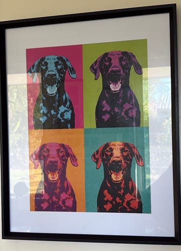 Customer photo review of Personalised Poster With Dog or Cat - Colour Squares