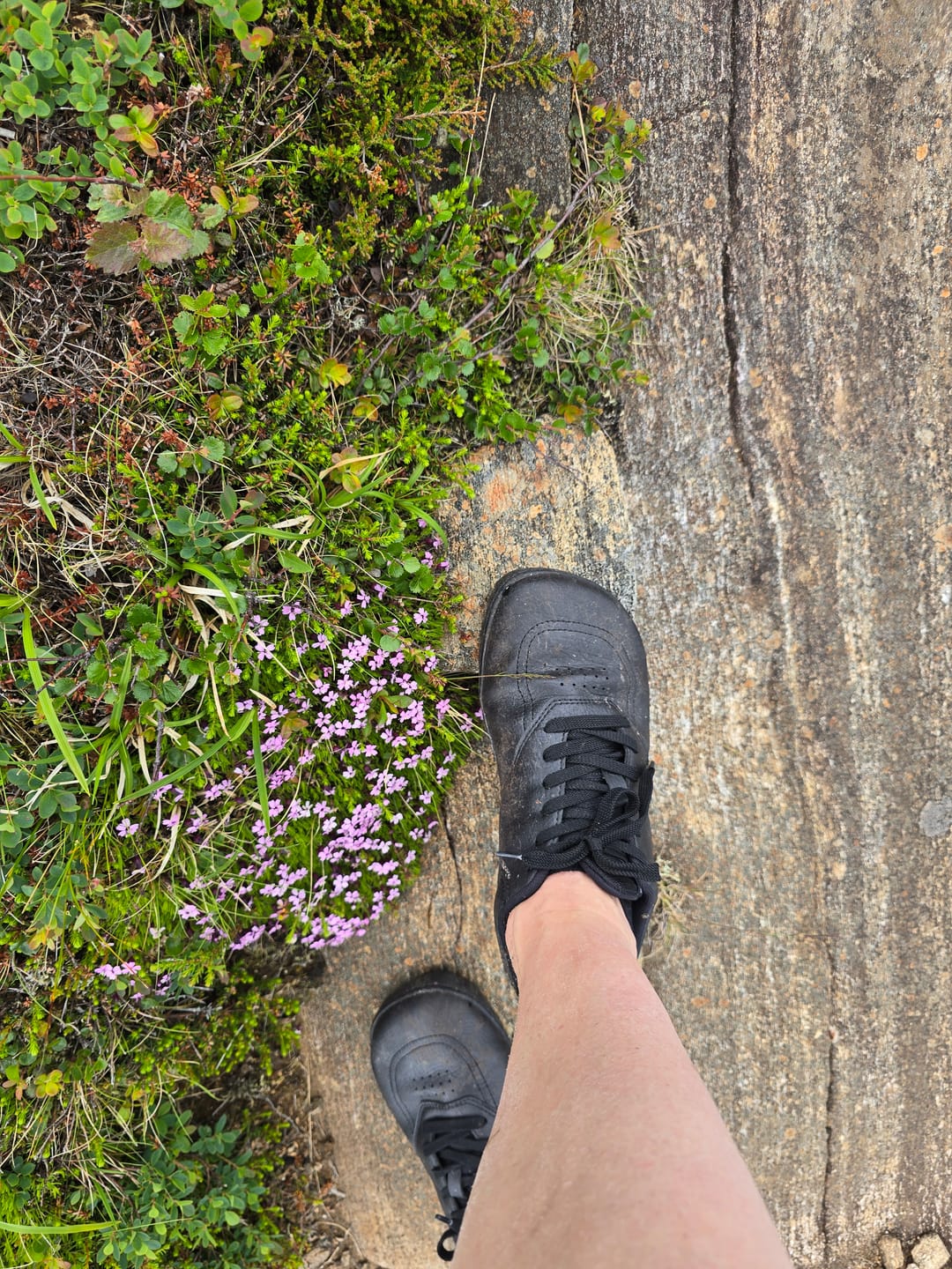 Customer photo review of Vaistoa Katu 2 | Barefoot Sneakers