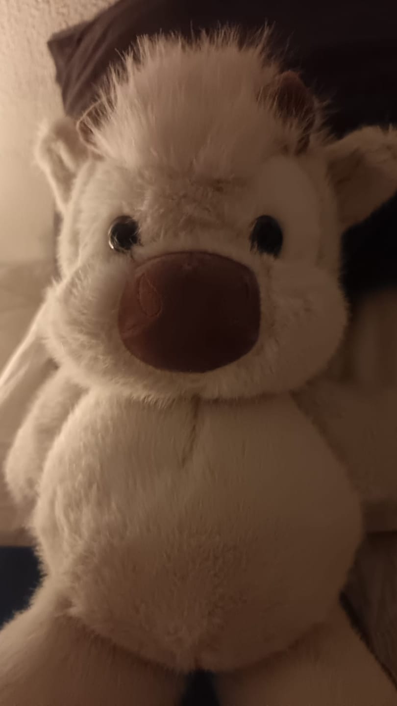 Customer photo review of Coco-Hug™ El peluche que corre