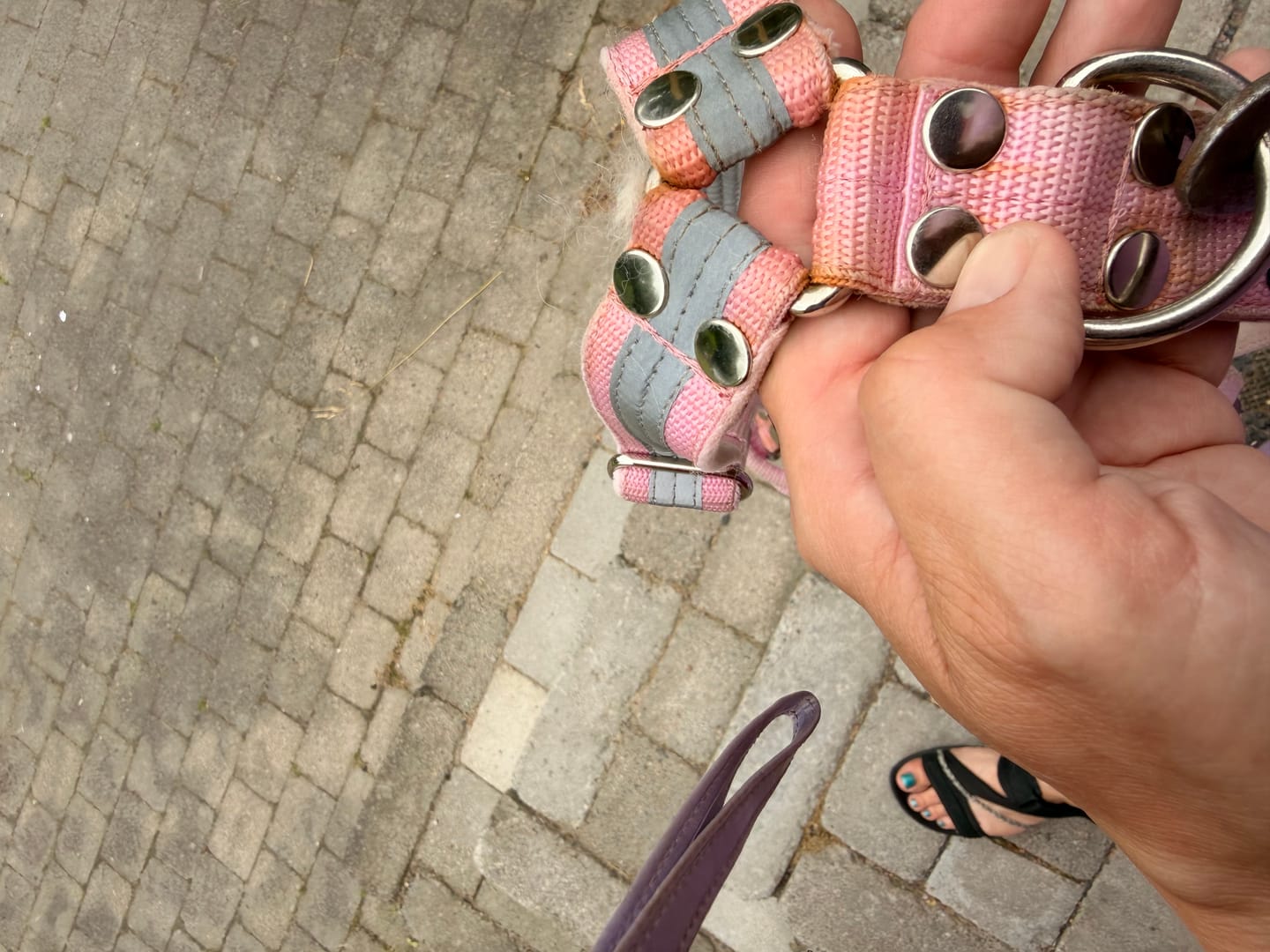 Customer photo review of Easy Walk Extreme Safe Baby Pink - Sele med reflex & snabbspänne