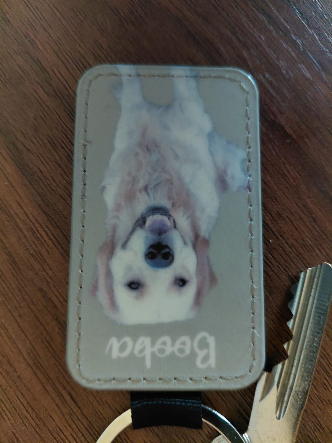 Customer photo review of Portrait d'animal - Porte-clés personnalisé