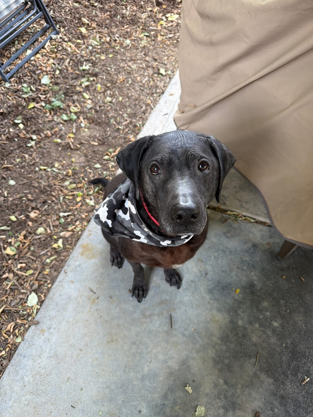 Customer photo review of Field Coat