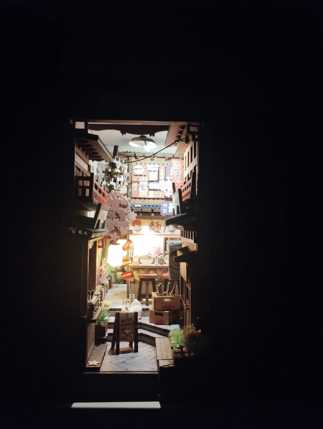 Customer photo review of DIY Book Nook kit - Sakura Wine Alley
