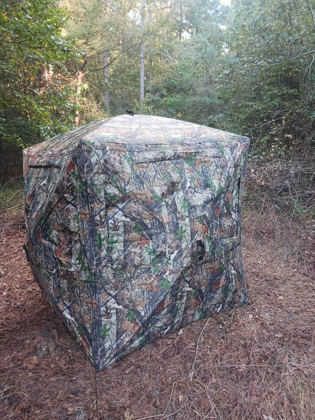 Customer photo review of Vis360 See Through Ground Blind | 360° Camouflage Pop Up Hunting Blind for 2/3/4 Person | Portable Deer Blind with Orange Cover