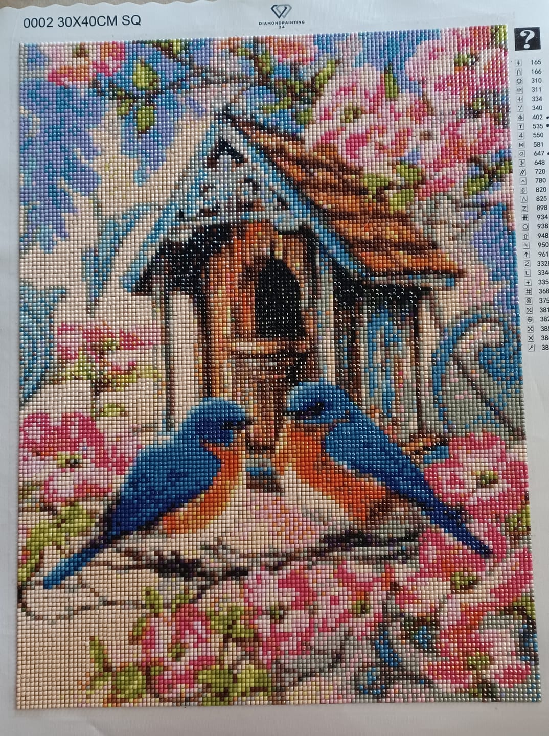 Customer photo review of Diamond Painting - Surprise Picture