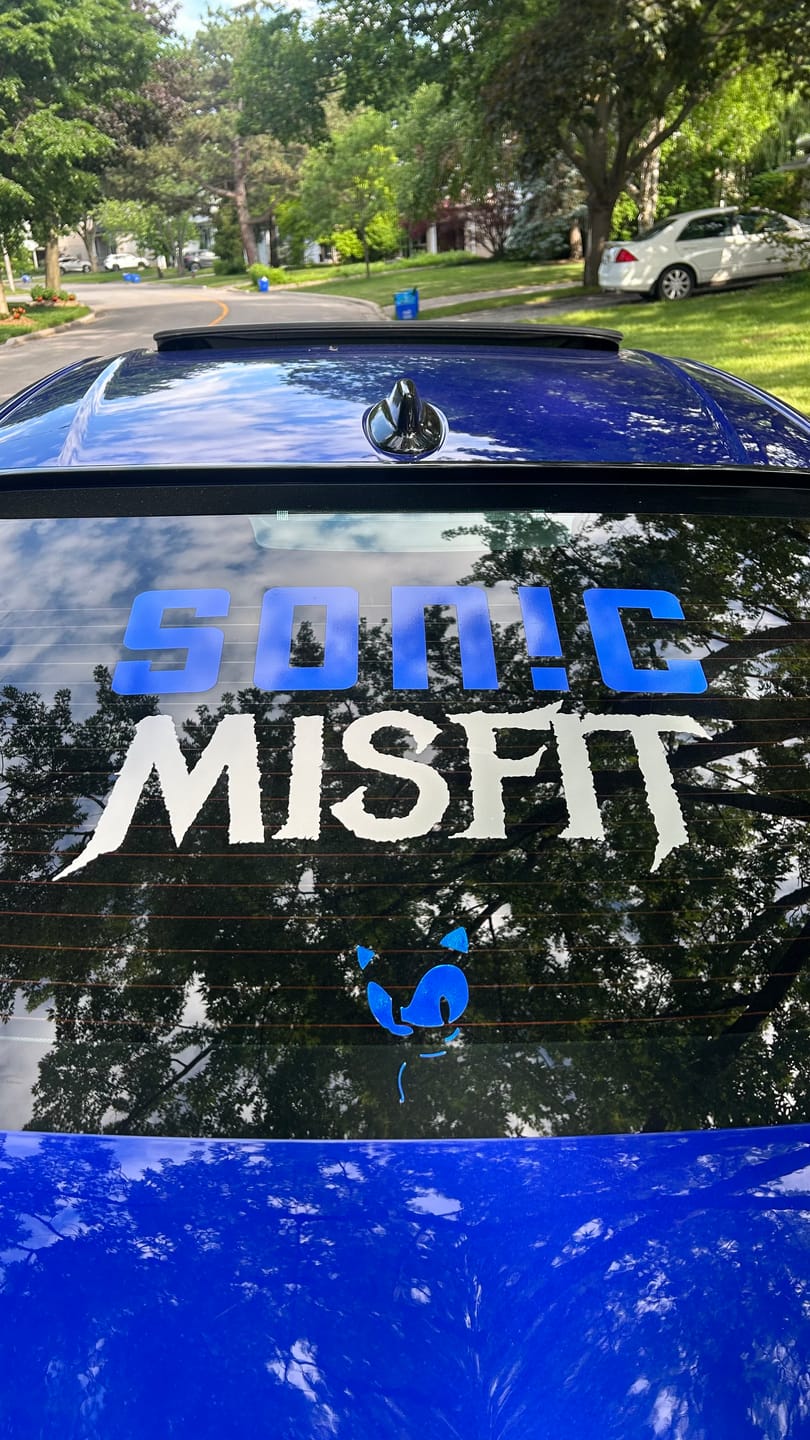 Customer photo review of Custom Vinyl: SON!C - custom-order-1777580311152-(qty 1)