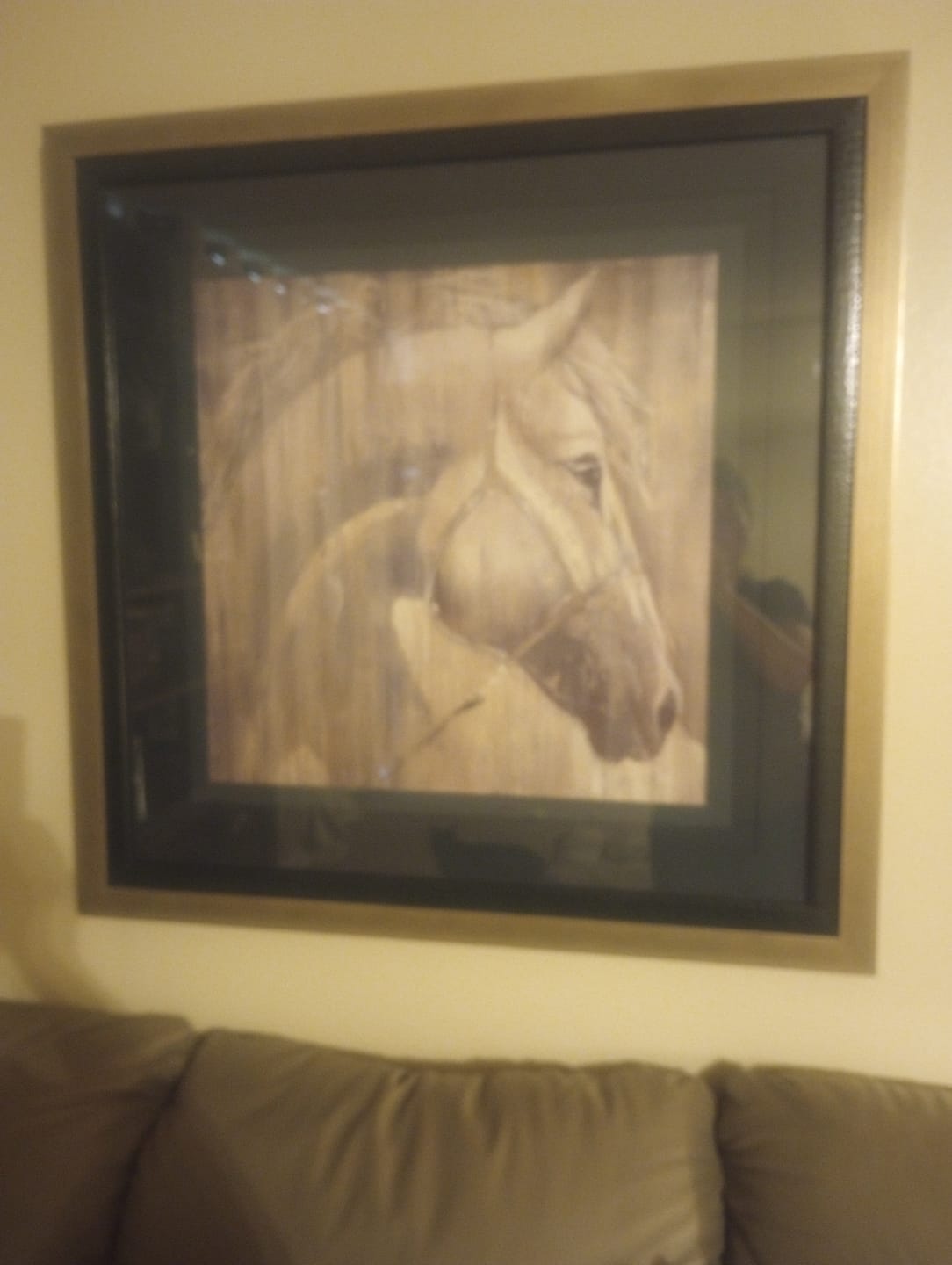 Customer photo review of His Majesty