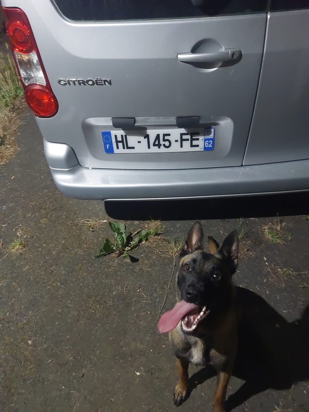 Customer photo review of Plaque auto plexiglass homologuée