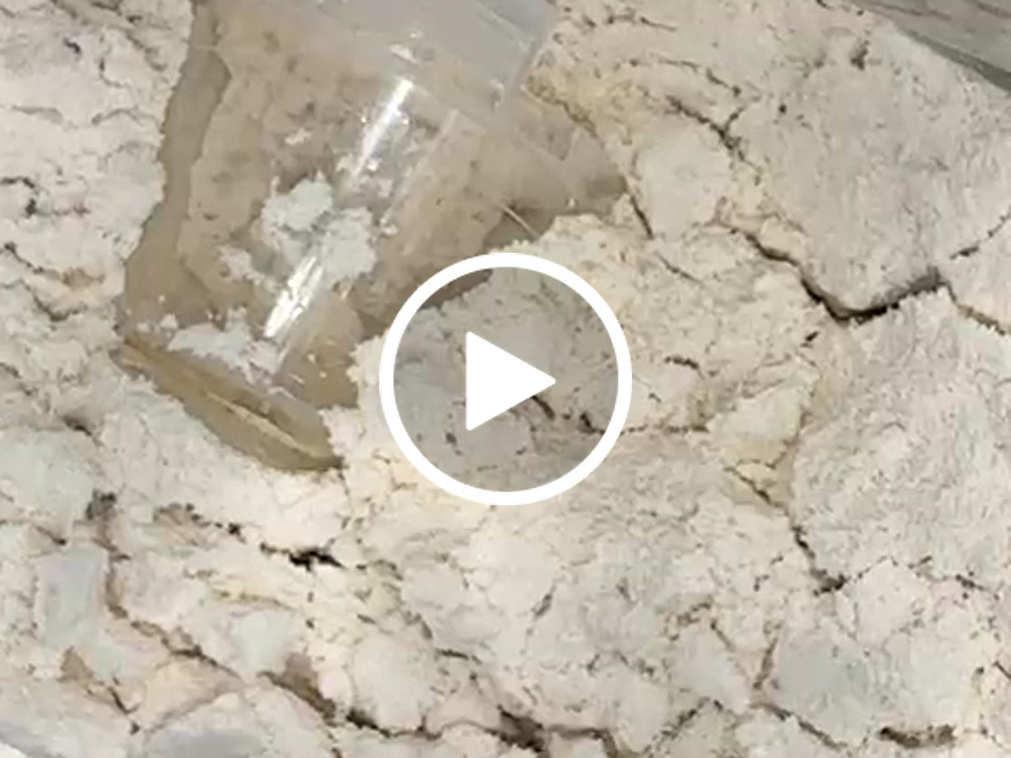 Customer video review of Wehle Sports Tasty Whey Protein - 1000g
