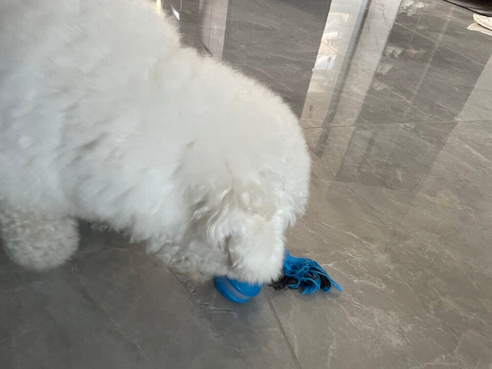 Customer photo review of Motion Ball