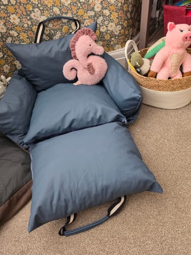 Customer's blue Dog Dock V2 on the floor indoors, with a stuffed toy placed inside.