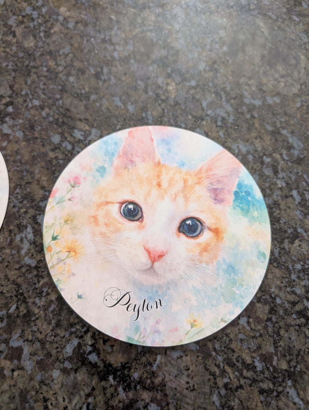 Customer photo review of Watercolor - Personalized Car Magnet