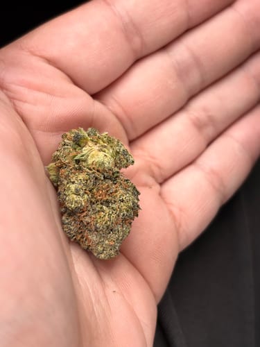 Customer photo review of Purple Push Pop -THCa Flower