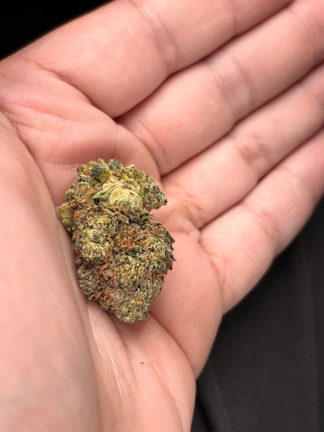 Customer photo review of Purple Push Pop -THCa Flower