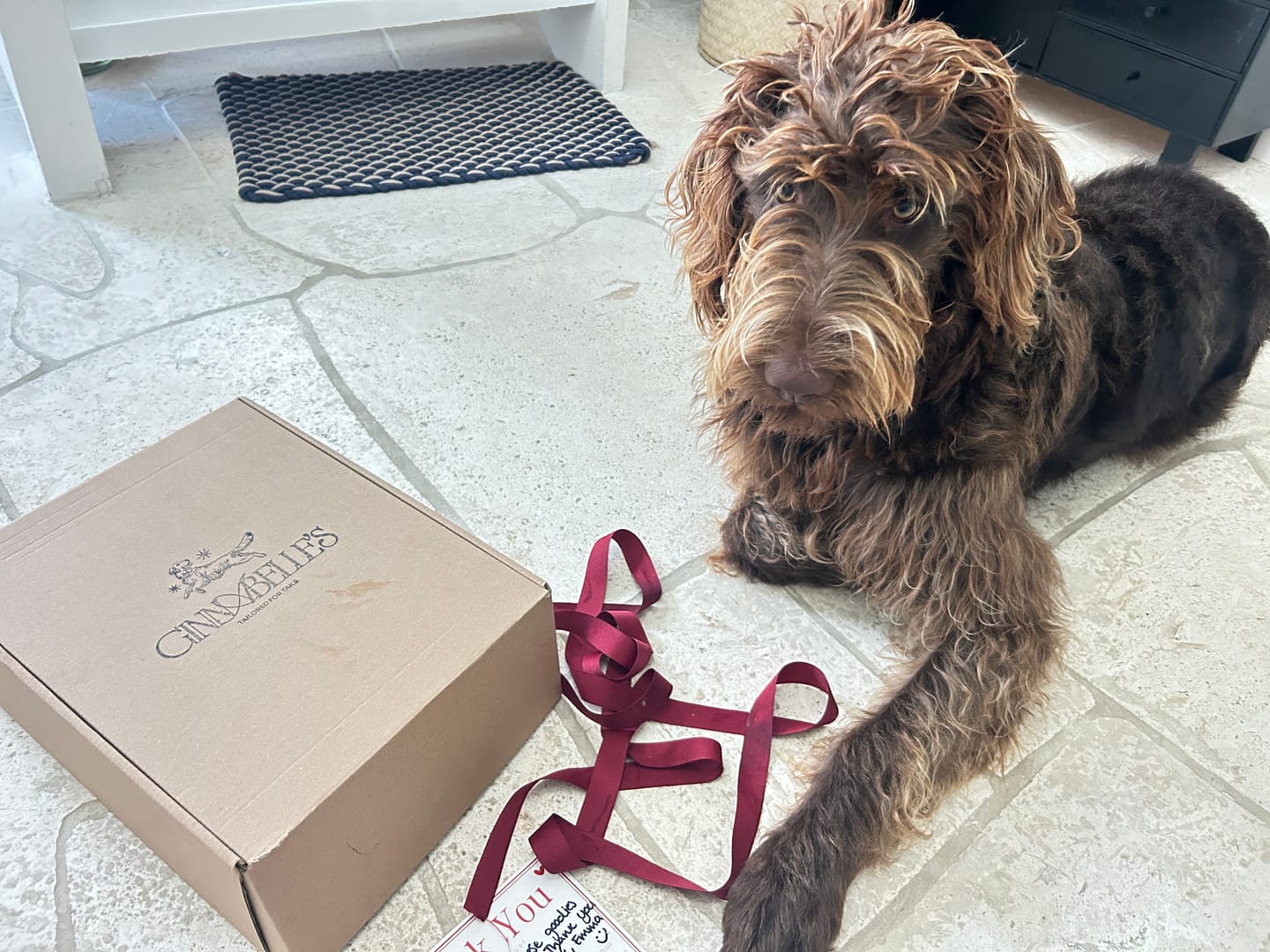 Customer photo review of Dog Dad Socks