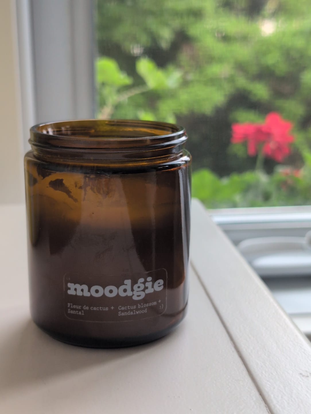 Customer photo review of Bougie - Fleur de cactus + Santal