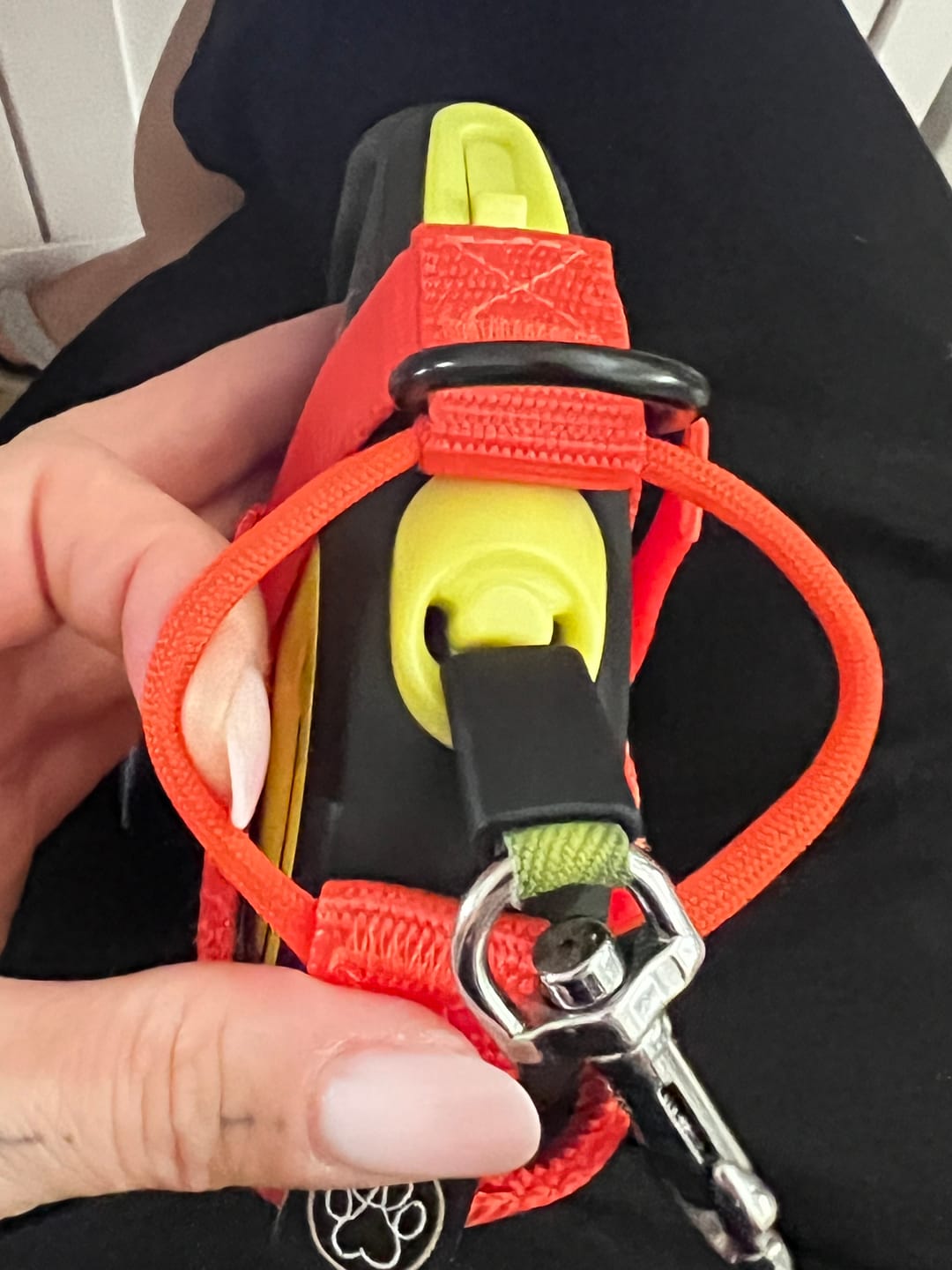 Customer photo review of Halfter  |  XS - L | inkl. 3-in-1 Hundeleine
