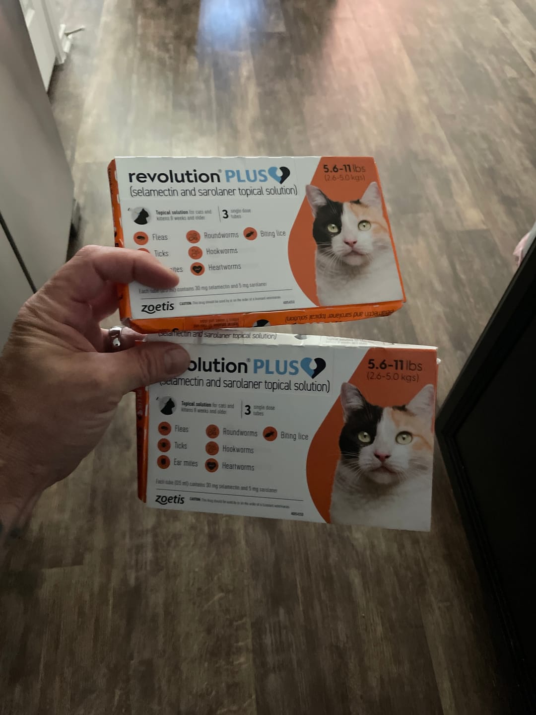Customer photo review of Revolution Plus for Cats - 6-in-1 Parasite Protection