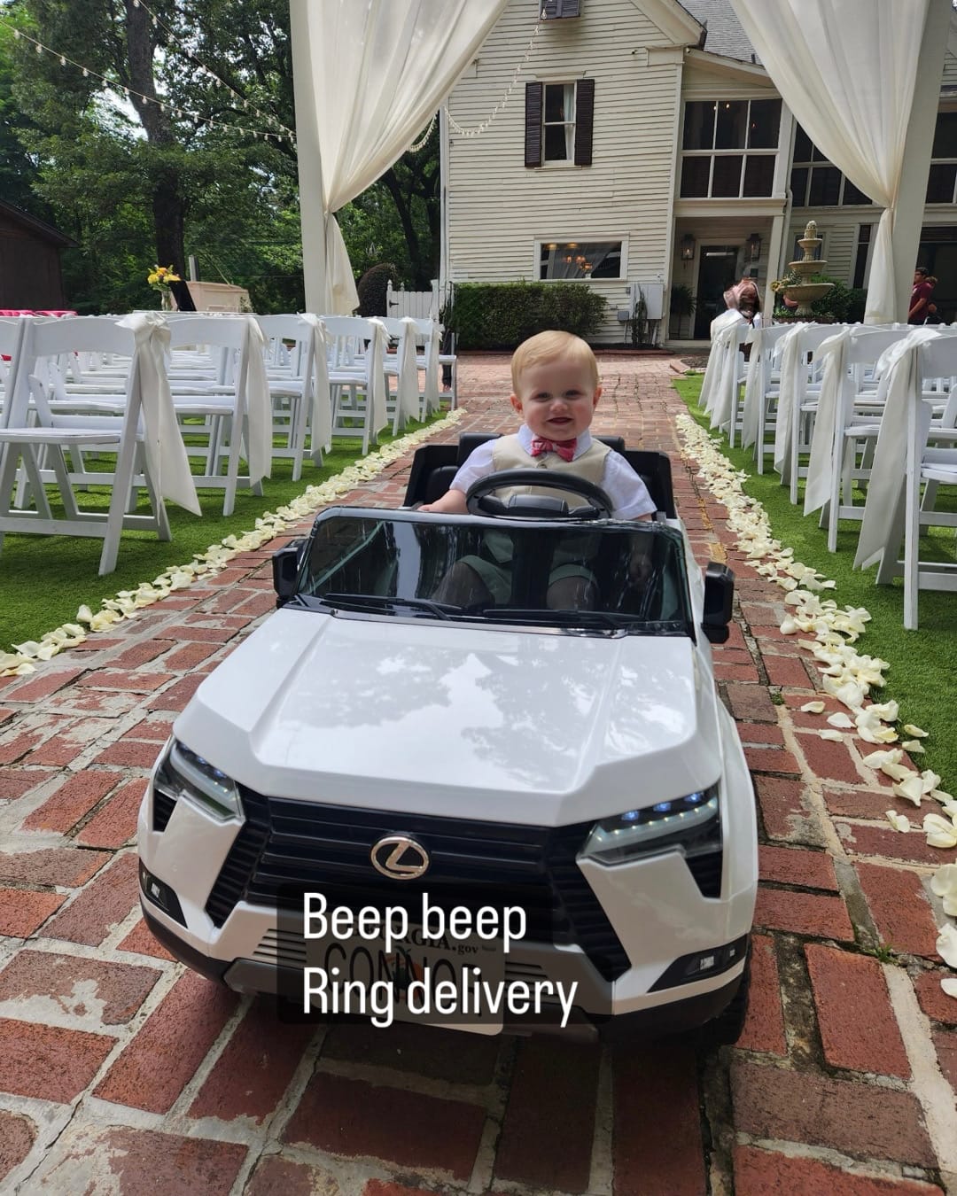 Customer photo review of White Rose Petals