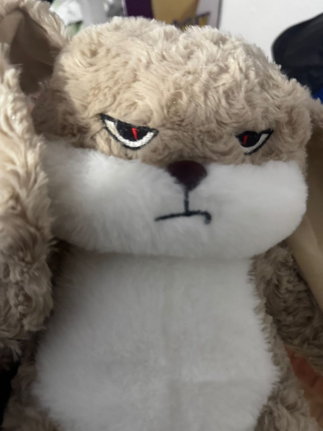 Customer photo review of Noñoje™, el conejito con más actitud 😠