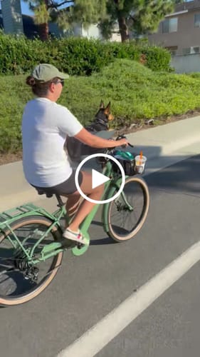 Customer video review of Kvisp Dog Bike Carrier