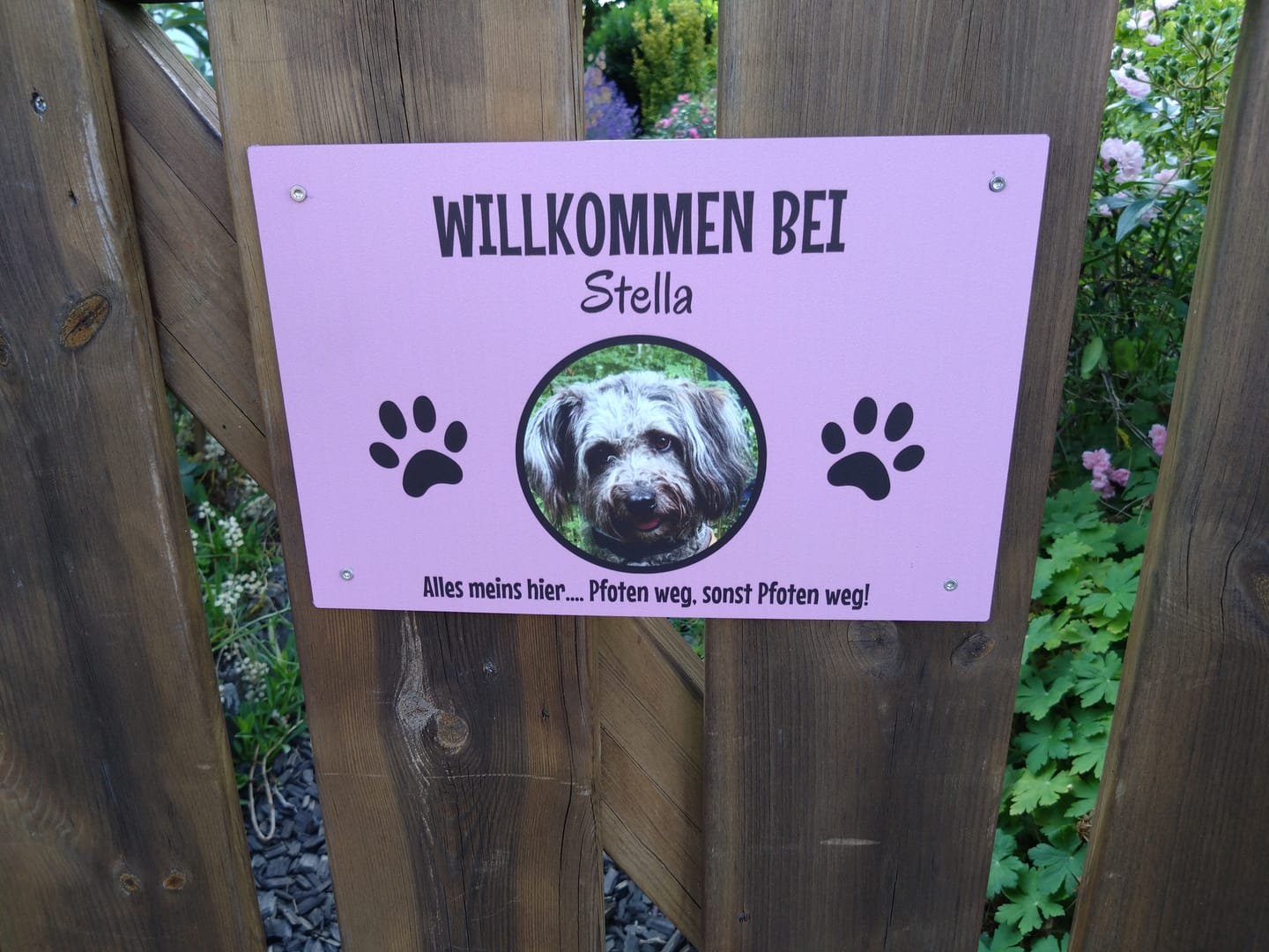Customer photo review of Personalisiertes Türschild - Spähende Haustiere