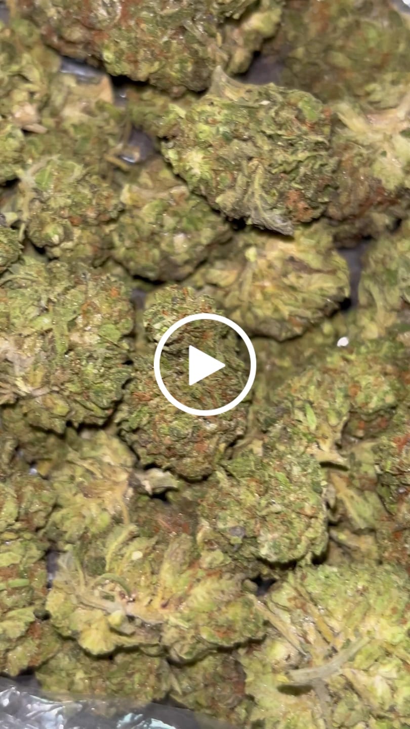 Customer video review of Platinum Bubba - Bulk - Indica