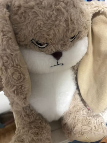 Customer photo review of Noñoje™, el conejito con más actitud 😠