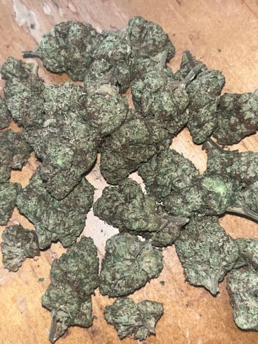 Customer photo review of Blueberry Muffin THCA Flower
