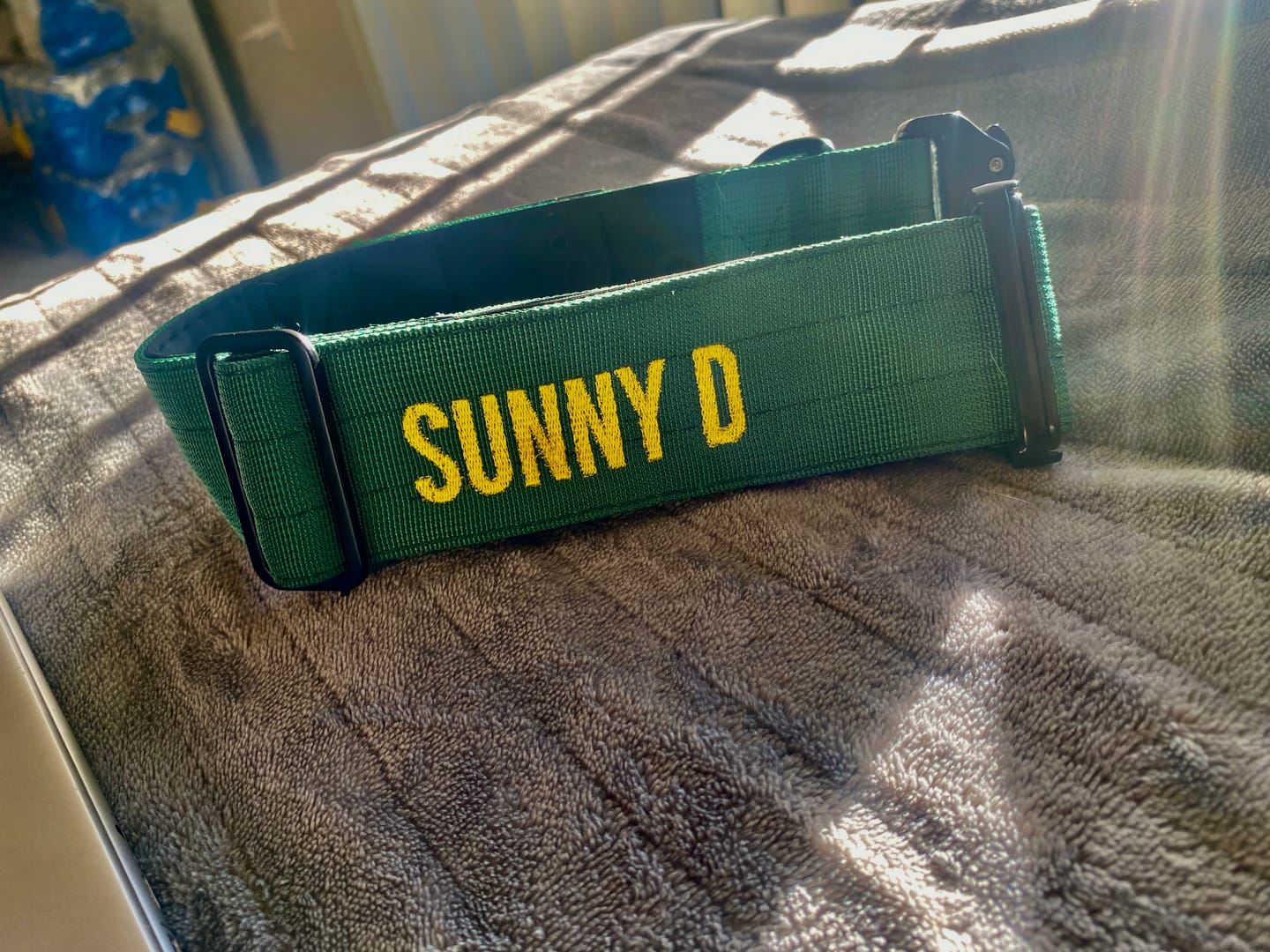 Customer photo review of No Pull Bully Proof Harness