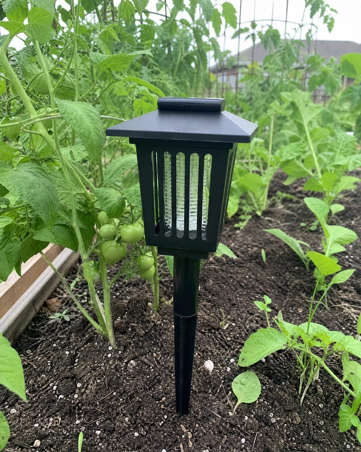 Customer photo review of Lampe Solaire Anti-Moustiques