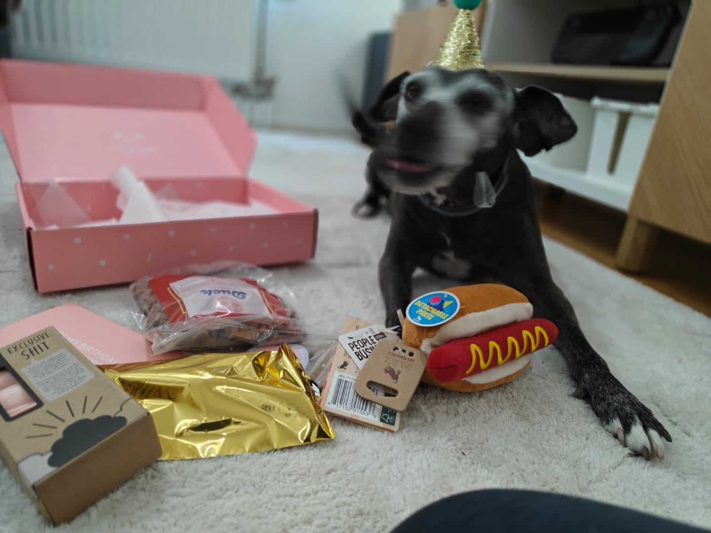 Customer photo review of Vykort | Presentkort För Hund