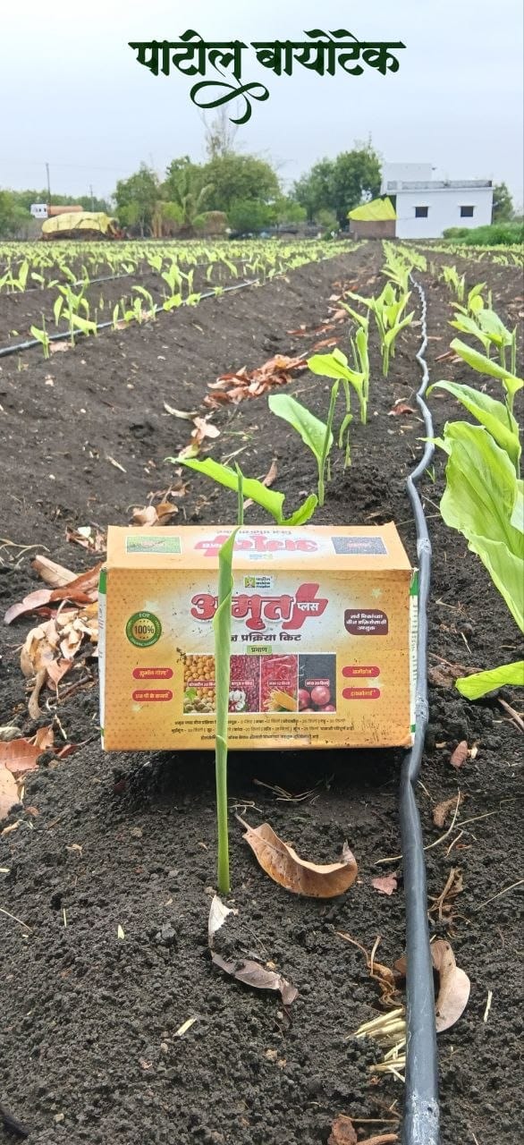 Customer photo review of Amrut Plus Seed Treatment Kit