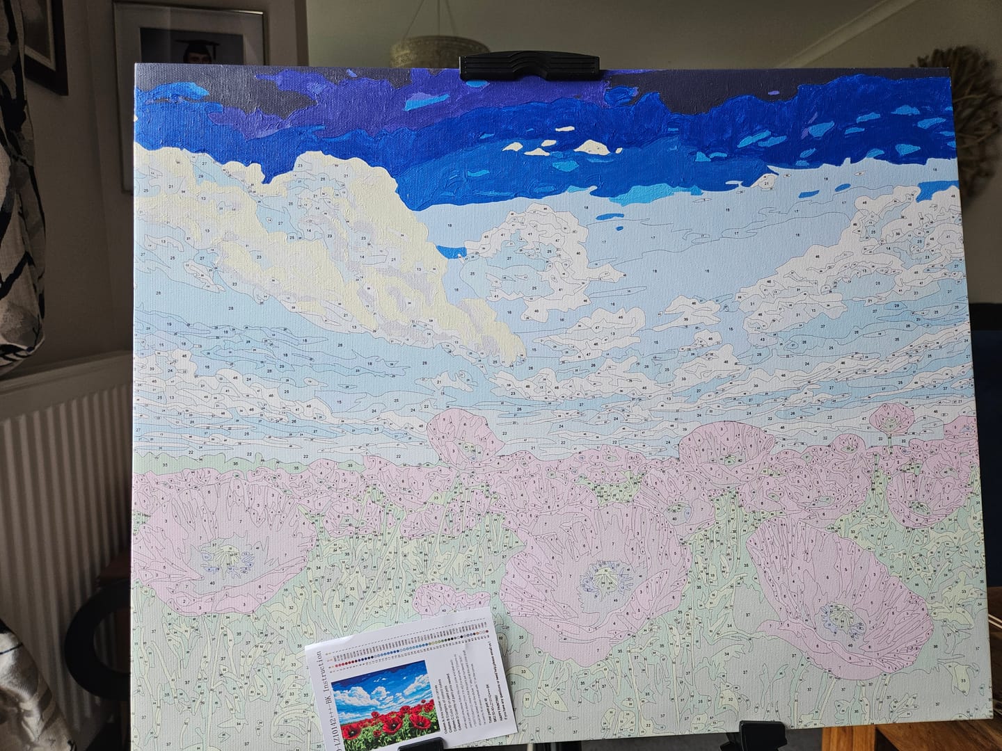 Customer photo review of Field of Poppies