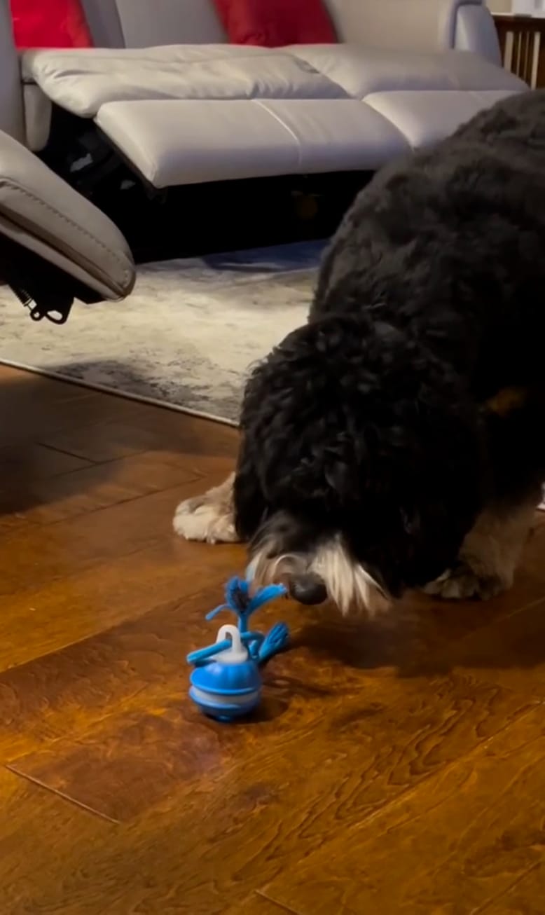 Customer photo review of Motion Ball