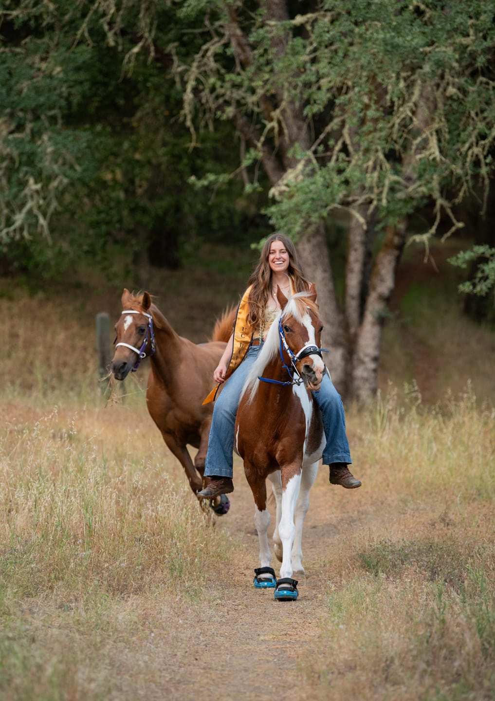 Customer photo review of Renegade® Viper Vivid™ Hoof Boot - Mystic Purple