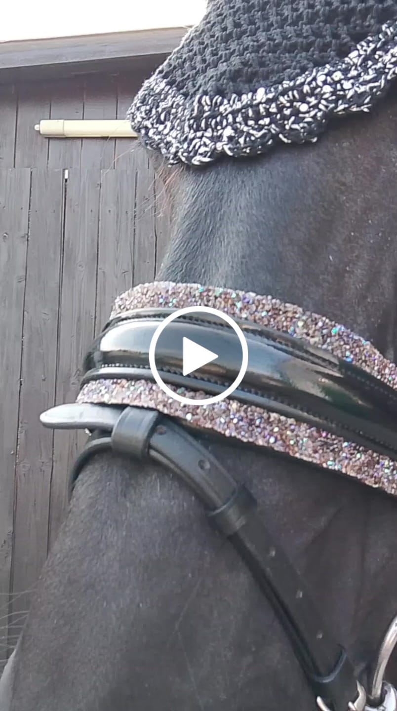 Customer video review of Wechsel-Nasenriemen Blau, Silber und Braun AB - Pony/Cob