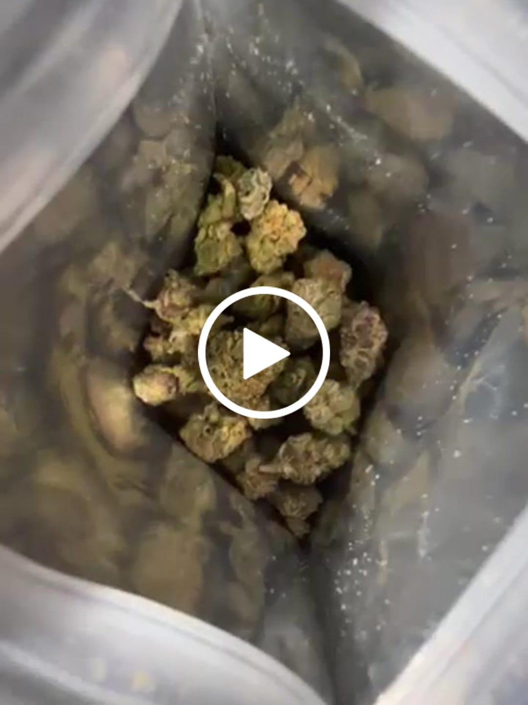 Customer video review of THCa Exotic Mediums & Smalls