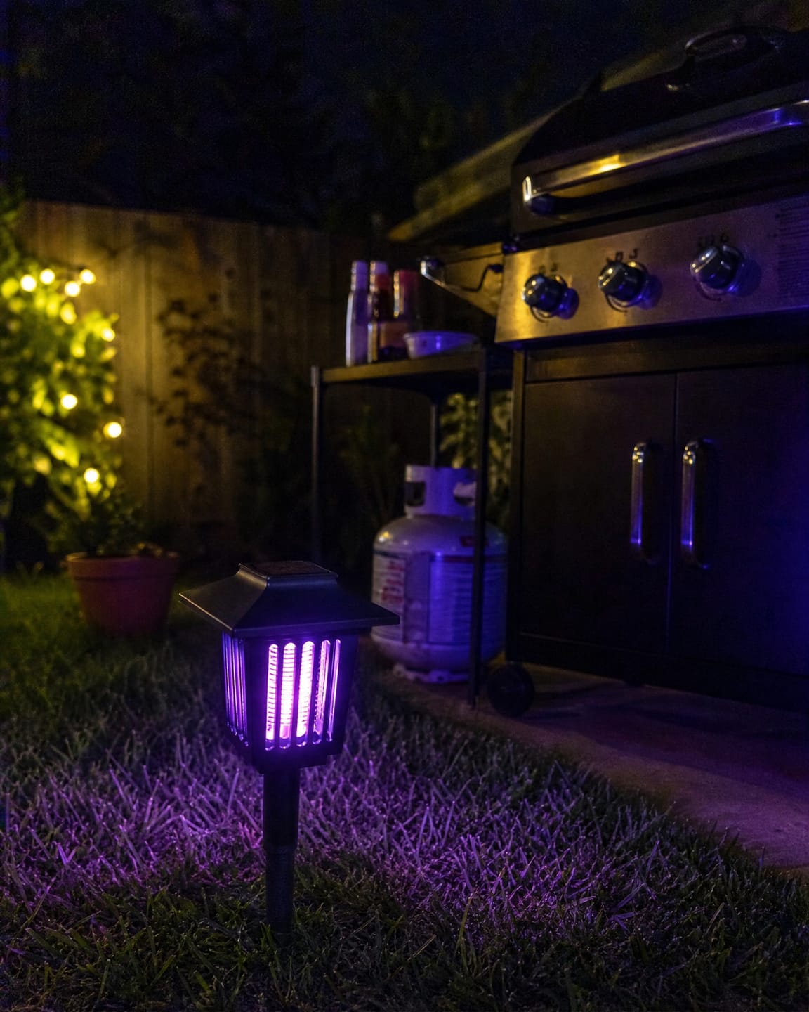 Customer photo review of Lampe Solaire Anti-Moustiques