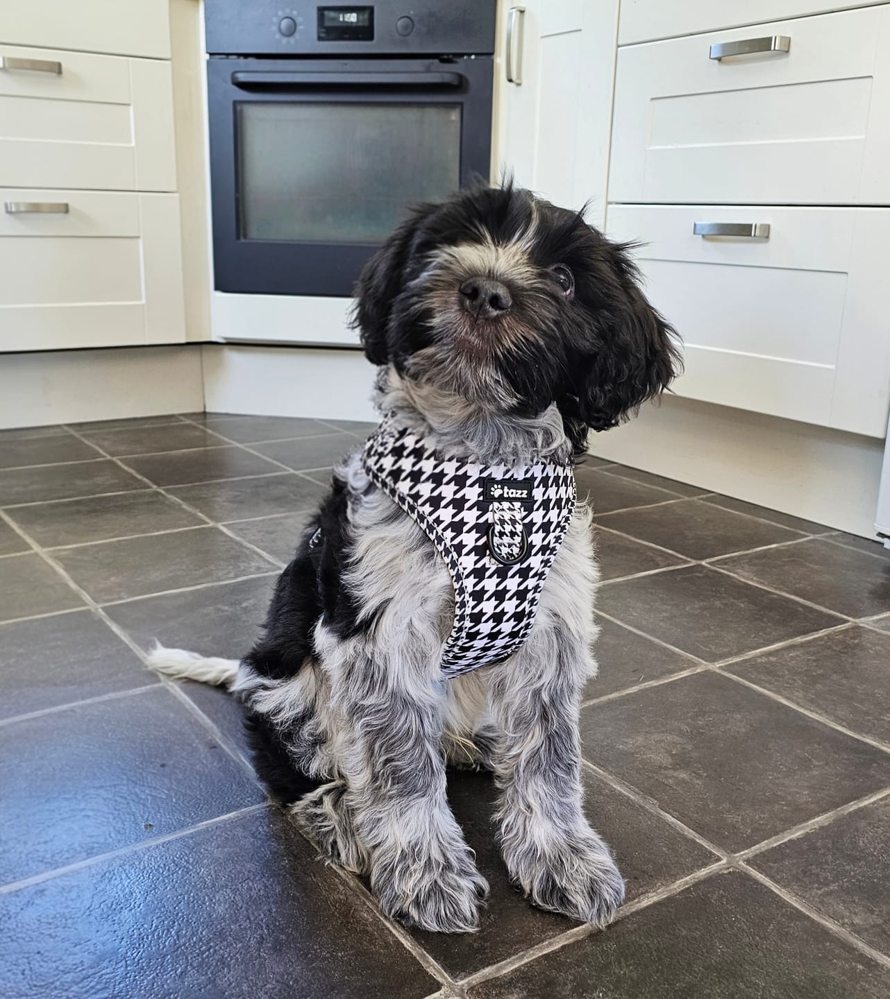 Customer photo review of Sele - la Pepita