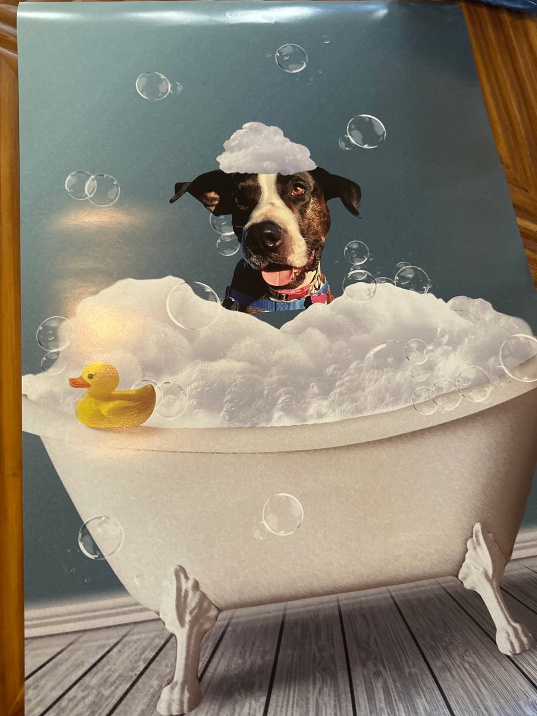 Customer photo review of Fun in the tub - Personalized Poster