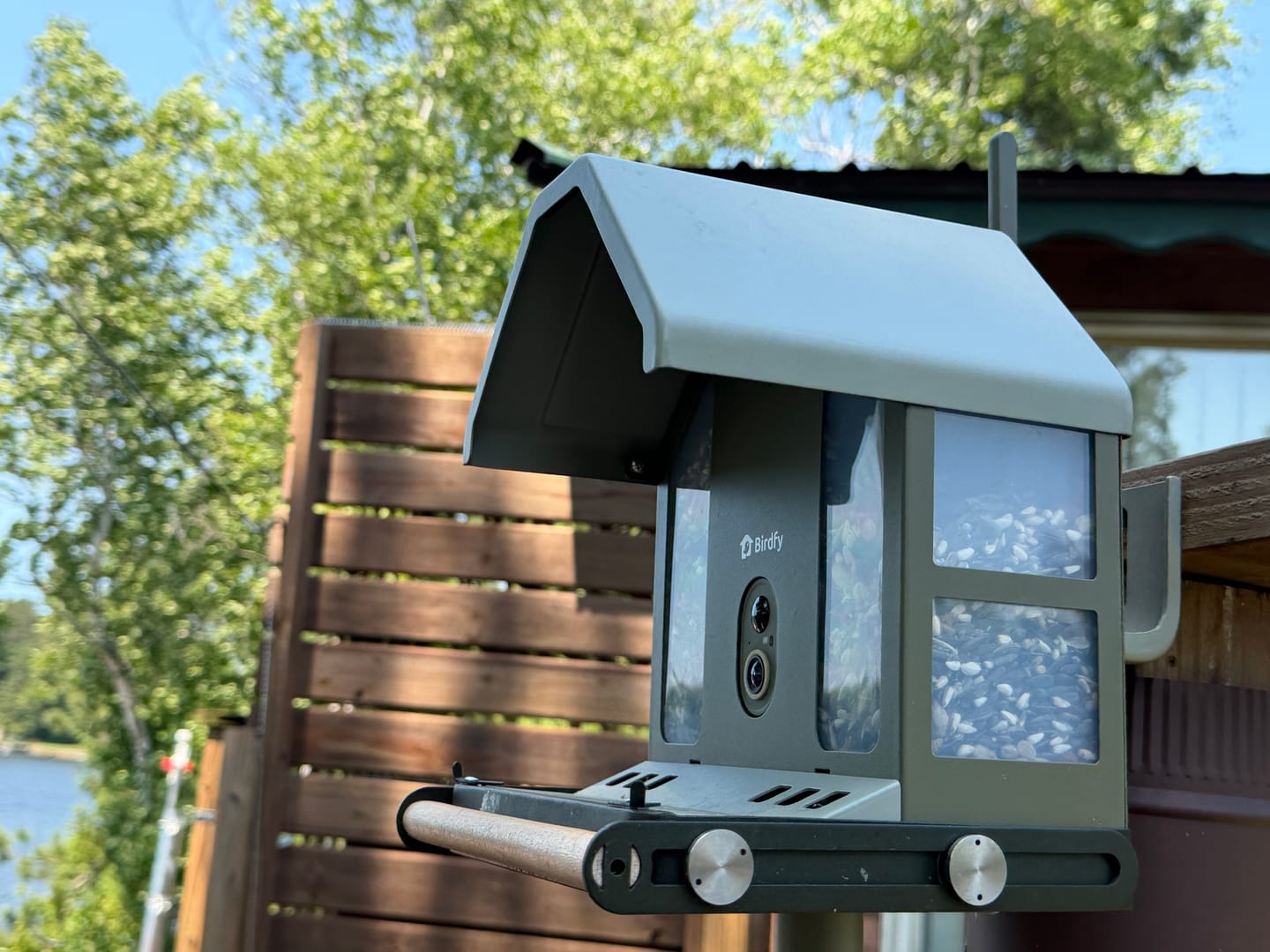 Customer photo review of Birdfy Feeder Metal - Smart Metal Feeder with Camera