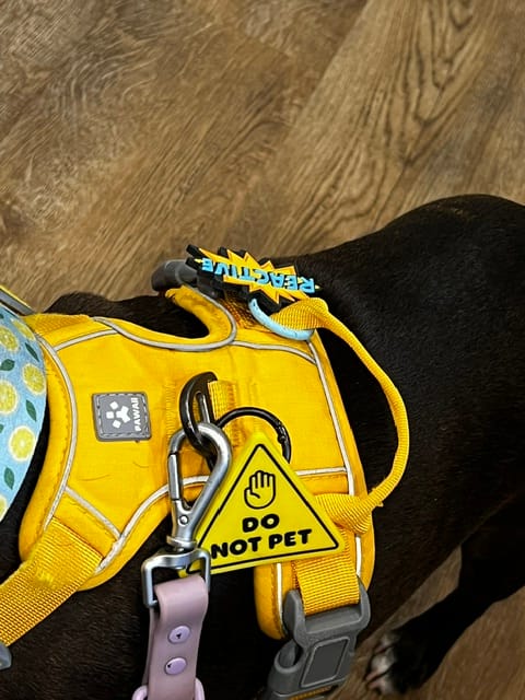 Customer photo review of Reactive Jiby Dog Charm